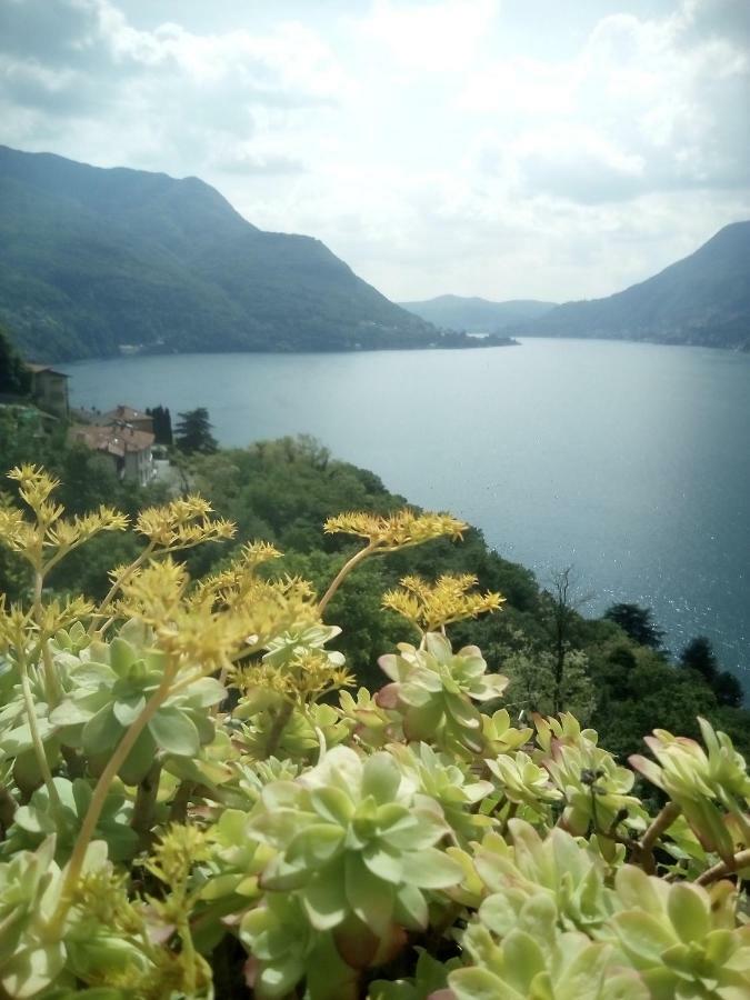 Casa Del Borgo Villa Pognana Lario Exterior photo